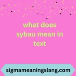 what does sybau mean in text