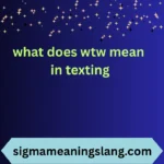 what does wtw mean in texting