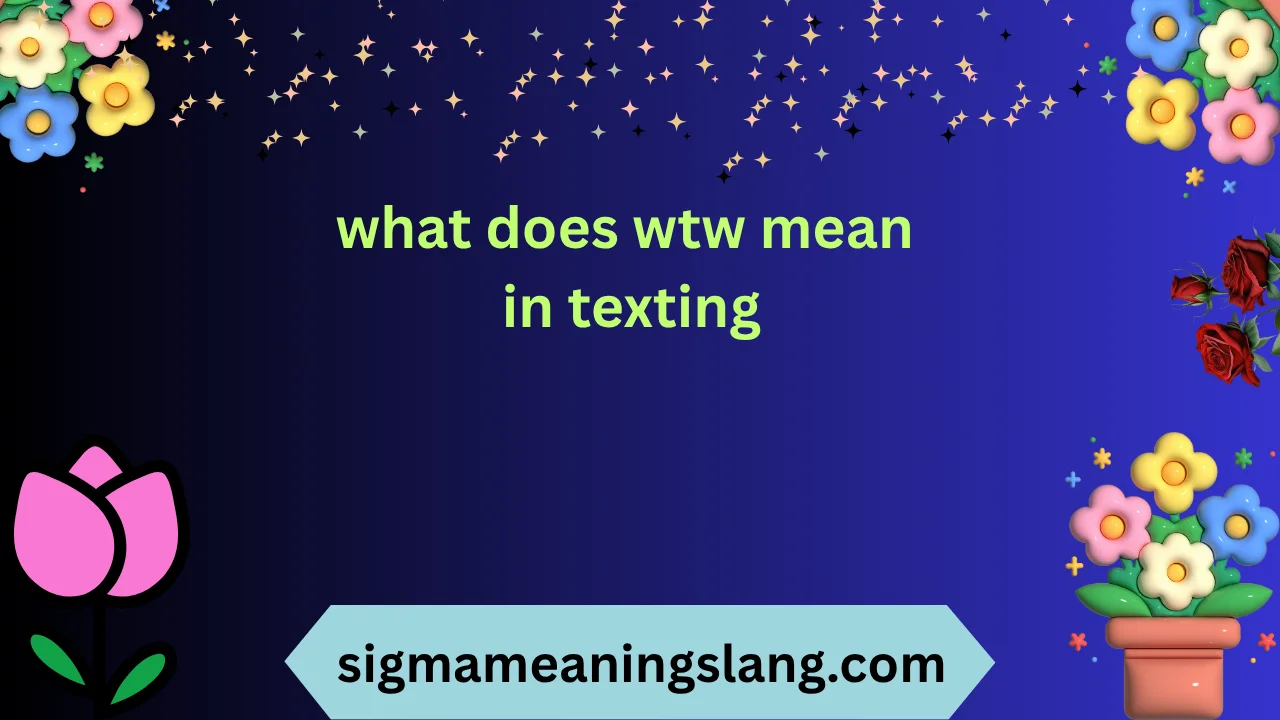 what does wtw mean in texting
