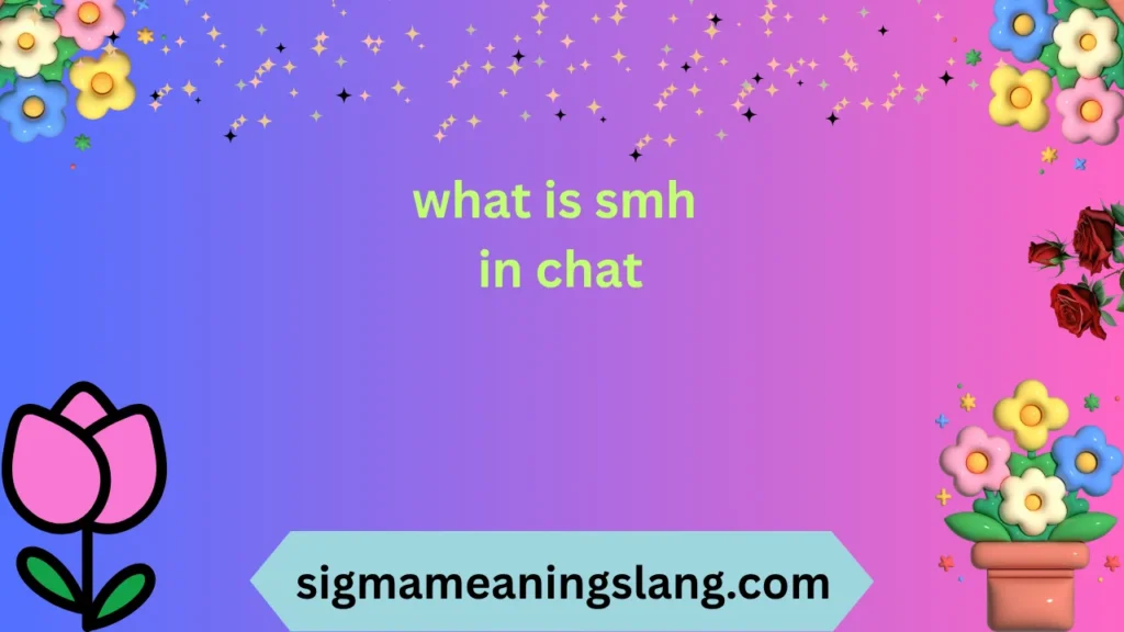what is smh in chat