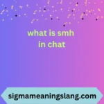what is smh in chat