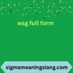 wsg full form
