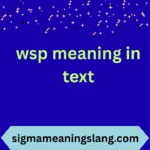 wsp meaning in text