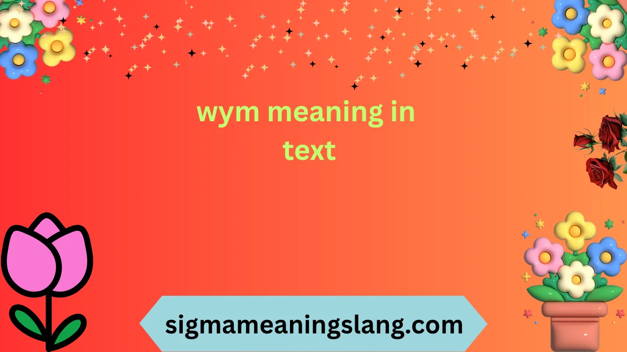 wym meaning in text