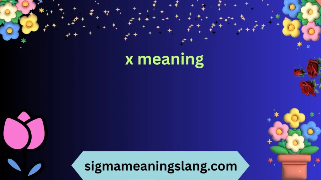 x meaning
