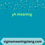 yh meaning